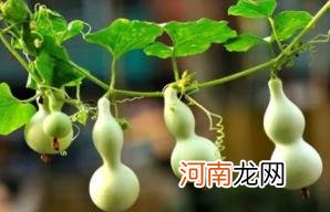 入户门葫芦挂在门内还是门外