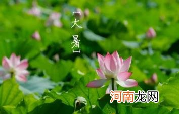 大暑节气到立秋节气中间还热吗