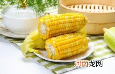 玉米煮好放锅里一夜会坏掉吗