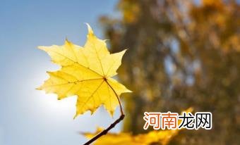 2022年立秋时间预示睁眼秋还是闭眼秋