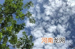 河南热还是广东热