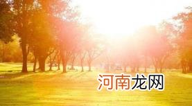 2022年中伏是二十四节气吗