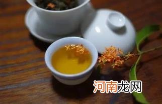 桂花从树上摘下来可以直接泡茶吗