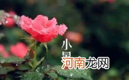 2022小暑节气起风好不好