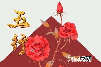 2023五行属于什么命 兔年命格五行属性表