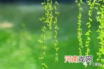 韩宁博｜诗歌：普通一日