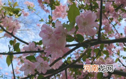 适合发朋友圈的夏日句子 夏天的唯美句子短语分享