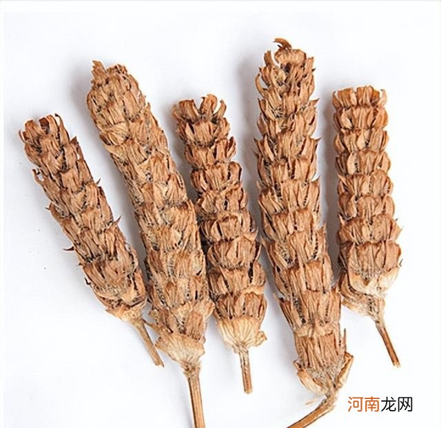 关于夏枯草药用价值的简单介绍 夏枯草的作用与功能主治