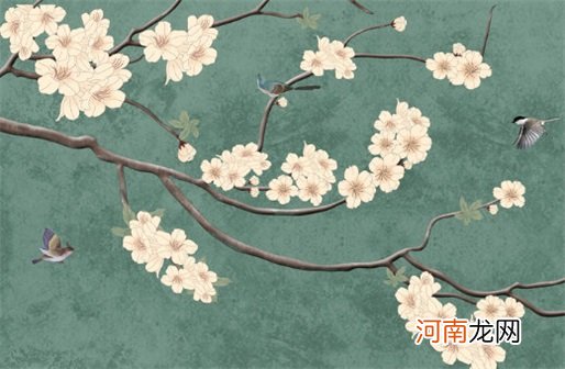 网络公司取什么名字好未注册过的好听的商标名