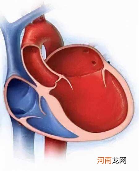 营养心脏的血管是,营养心脏的血管是发自主动脉