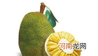 木菠萝的核吃法介绍 木菠萝核有什么功效与作用