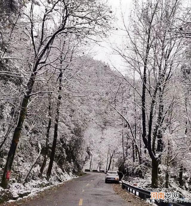 寒冬腊月三天雪.指什么生肖