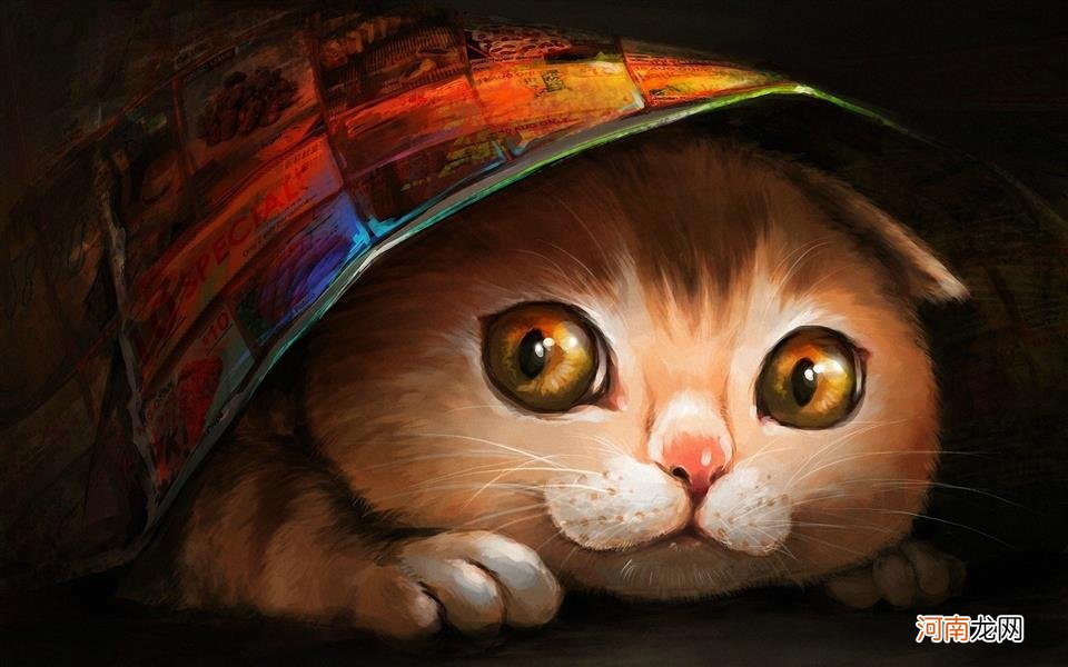 生鱼片有哪几种鱼 海鱼生鱼片有哪几种鱼