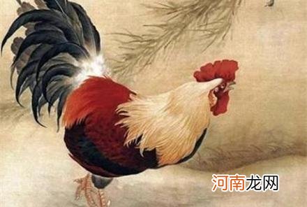 今年28虚岁属什么生肖 今年28岁属什么生肖是什么