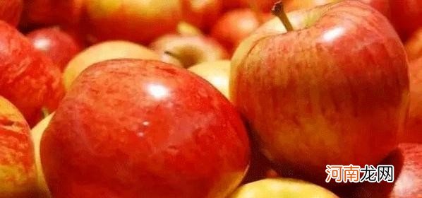 食用苹果的注意事项 早上可以空腹吃苹果吗