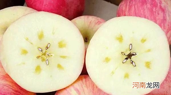 食用苹果的注意事项 早上可以空腹吃苹果吗