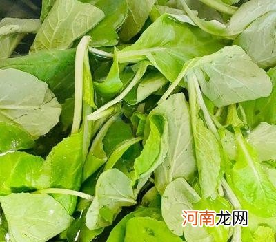 简单易学的蔬菜汤做法分享 金针菇怎么做汤好喝