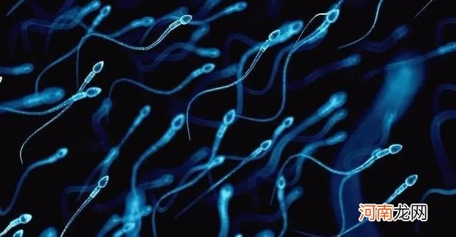 精子多久可以到达输卵管呢 精子游到输卵管要多少时间