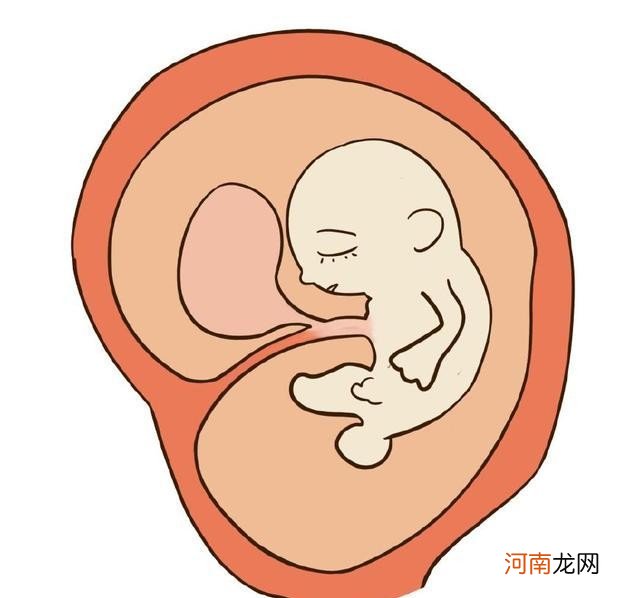 宝宝在肚子里的大小变化 新生儿50厘米算高吗
