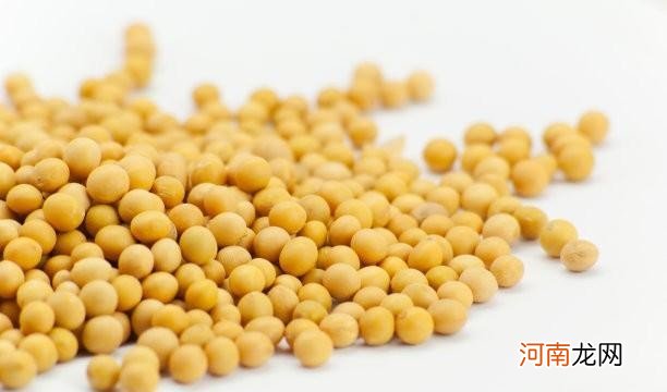 吃黄豆有什么好处 黄豆的功效和作用有哪些