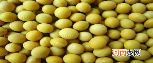 黄豆有哪些功效与作用