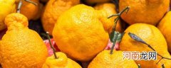 丑橘和耙耙柑有什么区别