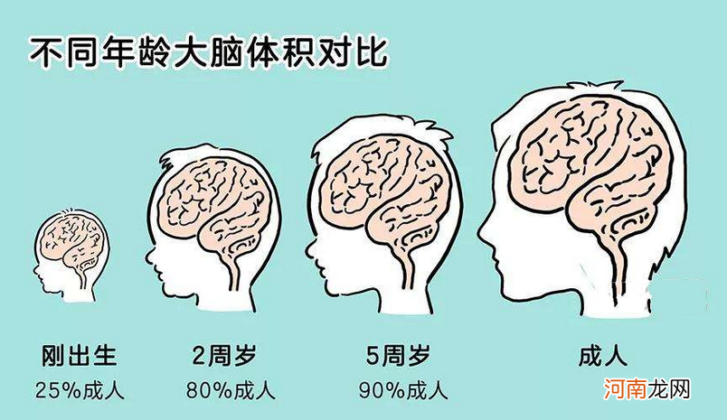脑科学家洪兰教授：这3种“激活”孩子大脑方法，父母要抓住机会