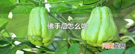 佛手瓜怎么吃