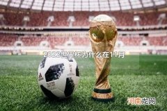 2022世界杯为什么在11月 2022年世界杯一共有多少只队伍参加