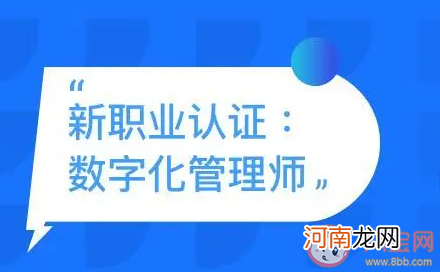 哪种职业|以下哪种职业可以有效帮助企业进行数字化转型 蚂蚁新村12月2日答案