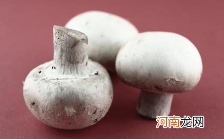 草菇可以放冰箱吗