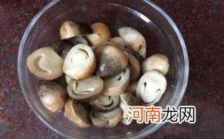 草菇的作用有什么