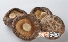 怎么挑选干冬菇