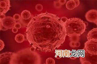 猴痘病毒已发生人际传播，世卫发布猴痘疫情暴发预警