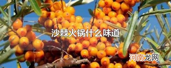 沙棘火锅什么味道