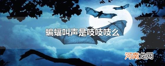 蝙蝠叫声是吱吱吱么