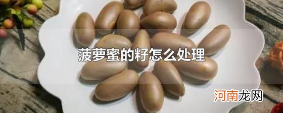 菠萝蜜的籽怎么处理