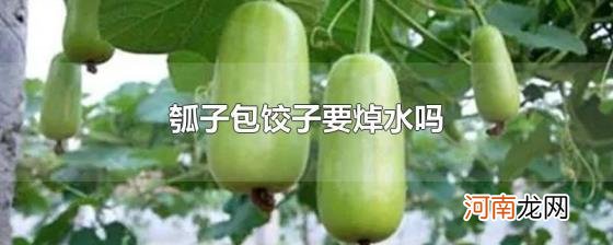 瓠子包饺子要焯水吗