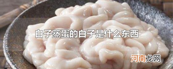 白子蒸蛋的白子是什么东西