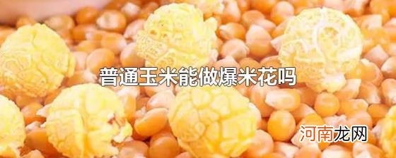 普通玉米能做爆米花吗