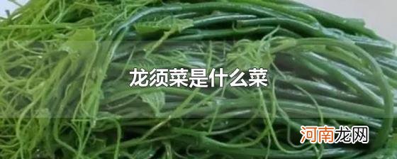 龙须菜是什么菜