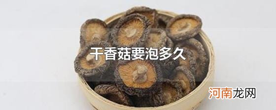 干香菇要泡多久