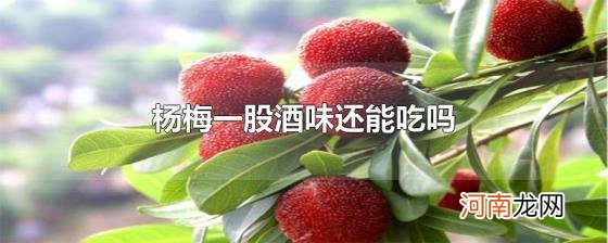 杨梅一股酒味还能吃吗