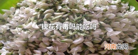 槐花有毒吗能吃吗