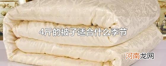 4斤的被子适合什么季节