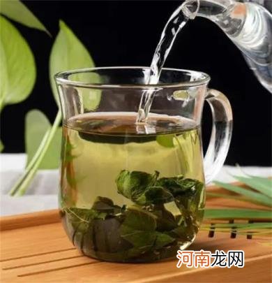 湿气重的人能喝桑叶茶吗