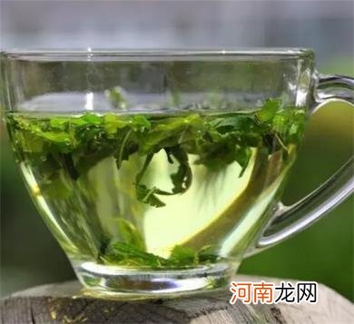 湿气重的人能喝桑叶茶吗