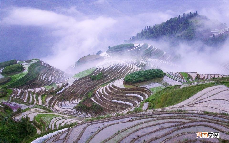 河蟹和什么不能同食 吃大闸蟹能吃橘子吗