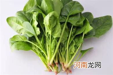 菠菜汤的营养价值和功效