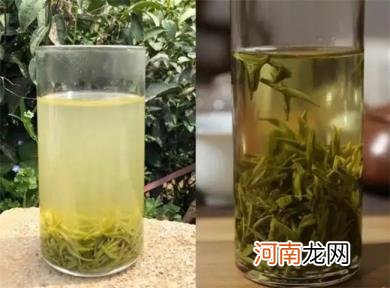 信阳毛尖茶泡出来浑浊好还是清好